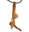 Soft monkey 90 cm