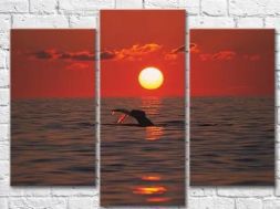 Модульная картина "Над гладью воды"