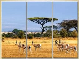 Модульная картина "Африканский пейзаж"