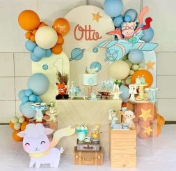 Petrecerea de naștere a copiilor №29