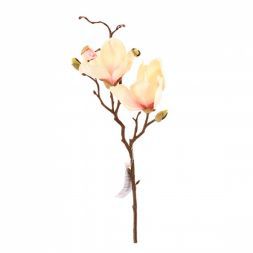 Магнолия 50 см