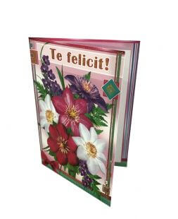 felicitare pentru Ziua de Nastere