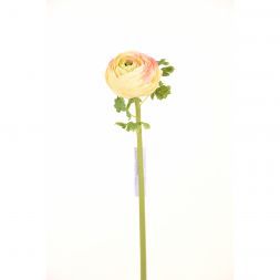 Ранункулюс 60 см