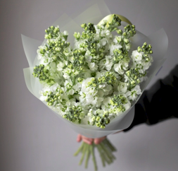 букет из белых маттиол