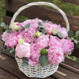 корзину с пионами разных цветов