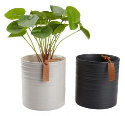 Горшок 12x14см бежевый