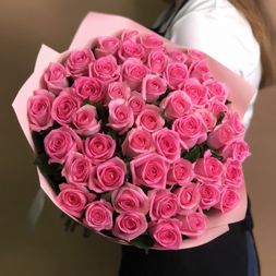 51 pink roses