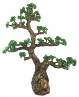 дерево Бонсай большой