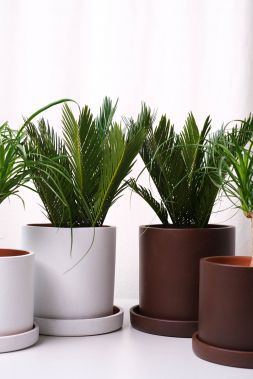 Глазурованные глиняные горшки