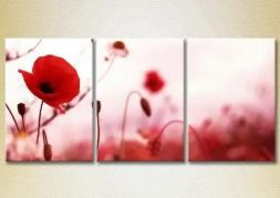 Pictura modulară "Poppies"