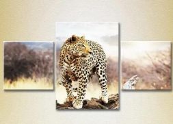 Pictura modulară "Leopard pe un jurnal"