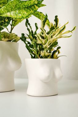 Горшок в форме груди