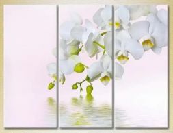 Pictura modulară "Orhideea albă"