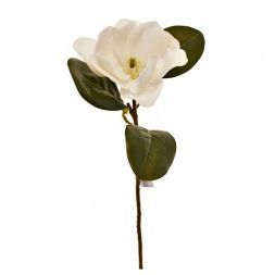 Магнолия белая 70 см