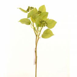 Арония 56 см