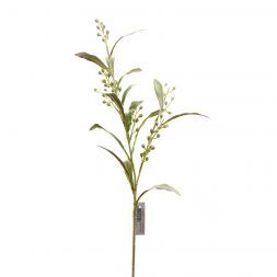 Stachis with berries 80 cm