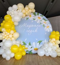 Petrecerea de naștere a copiilor №27