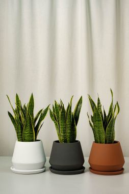 Глиняные горшки Тесса