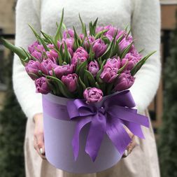 фиолетовые тюльпаны в коробе