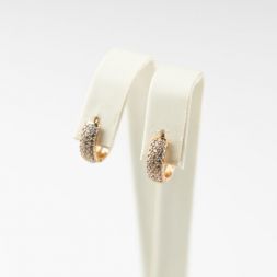 Jewelry Earrings #16