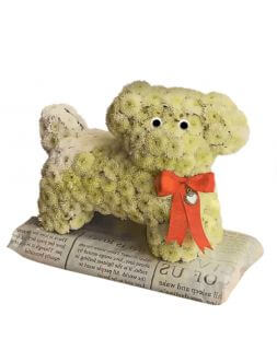 собачку из цветов