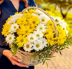 Coș сu crizanteme galbene