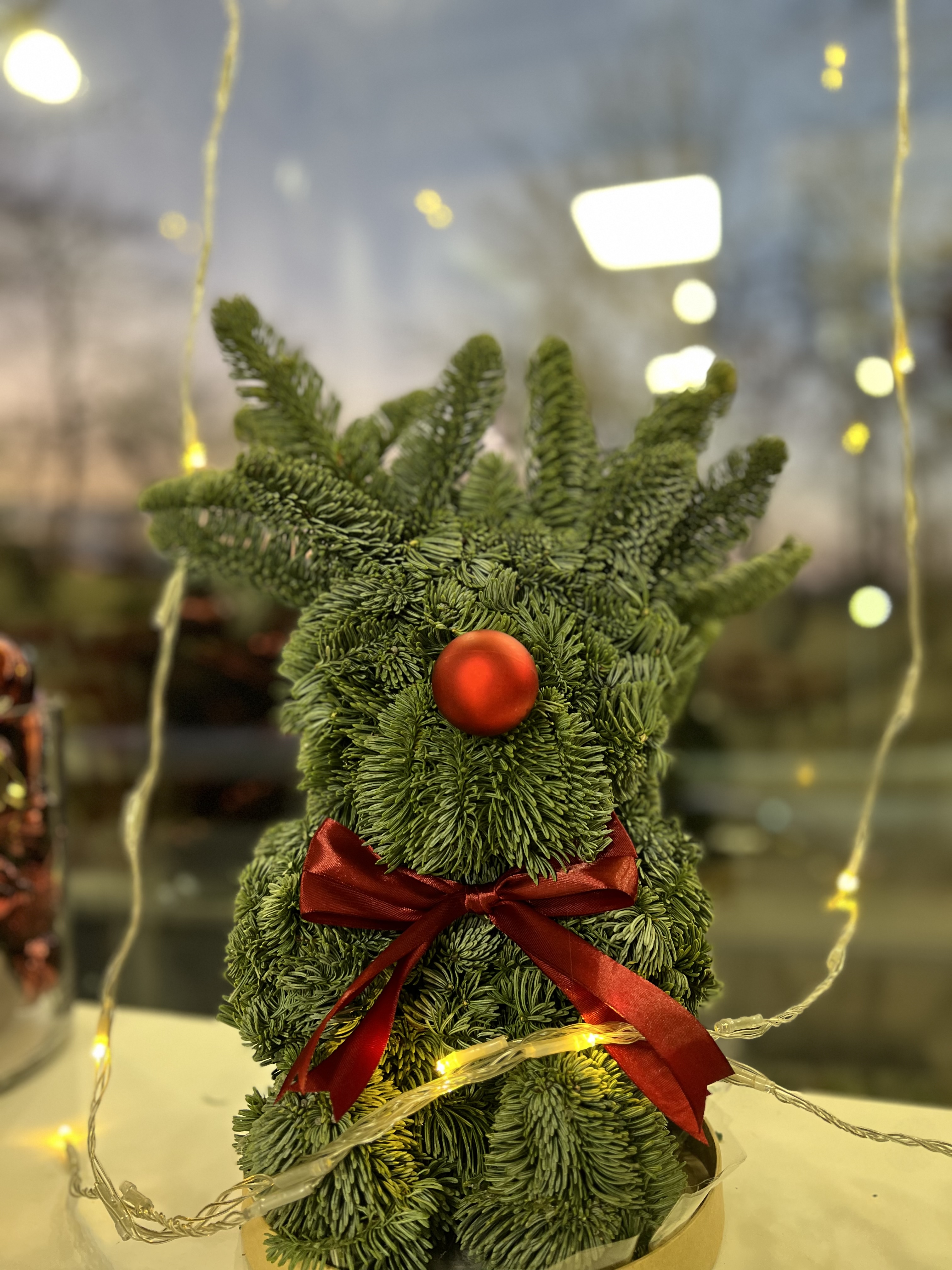 Новогодний олень из нобилиса