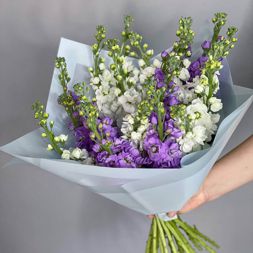 букет из лиловых и фиолетовых маттиол