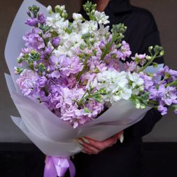 букет из разноцветных маттиол