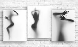 Pictura modulară "Silueta unei fete"