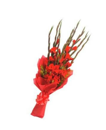Букет с красными гладиолусами в красной упаковке