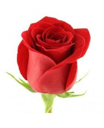 Букет "Тысяча и одна ночь"