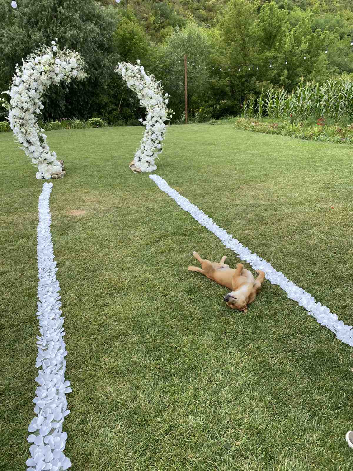 Свадебная арка №18