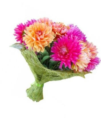 Разноцветные георгины