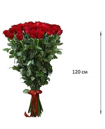 Одна красная роза 120 см