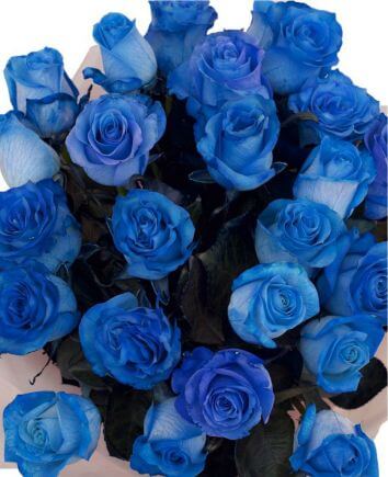Букет из 101 синей розы