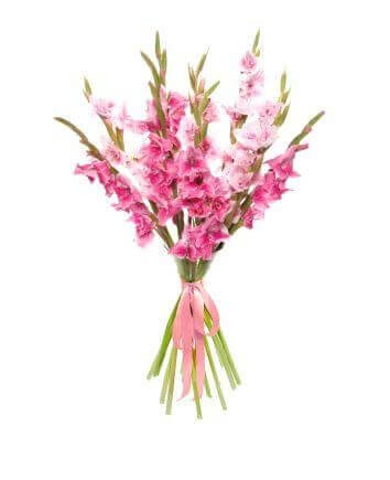 Букет с розовыми гладиолусами