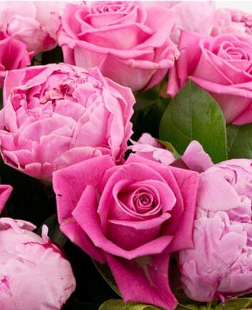 Букет "Ласковый"