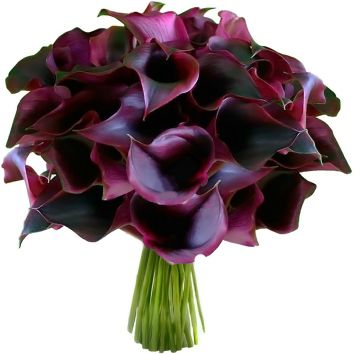 Букет "Бархат"