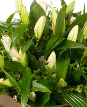 Букет "Свежесть"