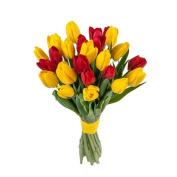 Buy bouquet of tulips Special for you in Chisinau, Moldova