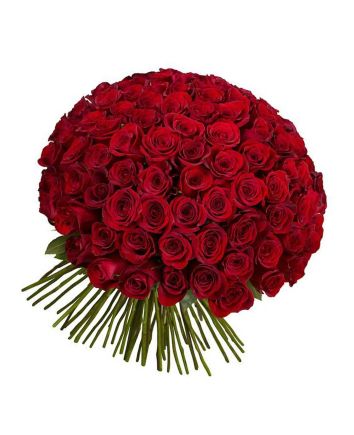 Букет из 201 розы