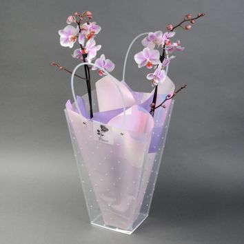 Фаленопсис белая в сумочке