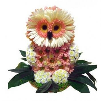 Сова из цветов