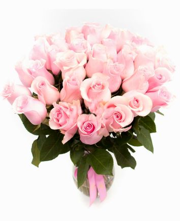 Розовые премиум розы 70 см