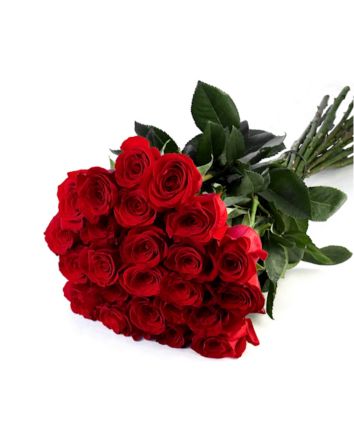 Букет из 11 роз