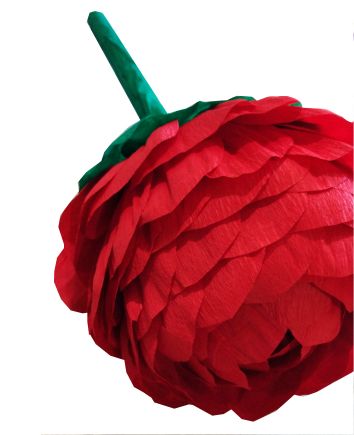 Гигантский цветок