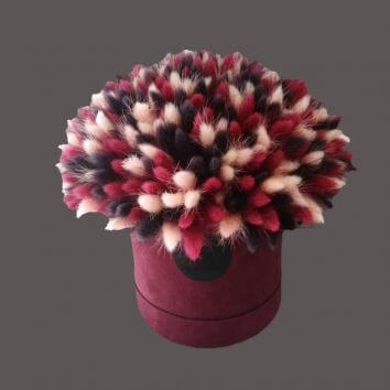 Коробка с лагурусом