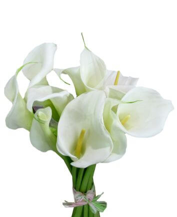 Букет "Комета"