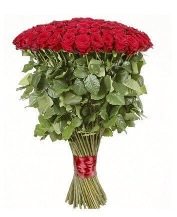 Un trandafir rosu 80 cm